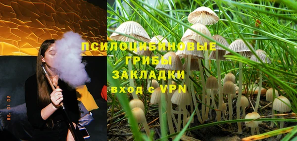 гидропоника Белокуриха