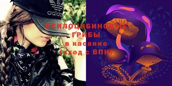 гидропоника Белокуриха