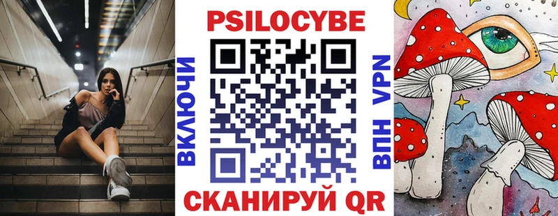 Галлюциногенные грибы Psilocybine cubensis Ковылкино
